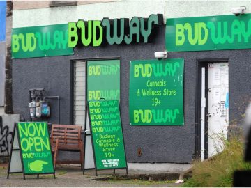 Subway v Budway: Missed Opportunity to Develop the Doctrine of Initial Interest Confusion
